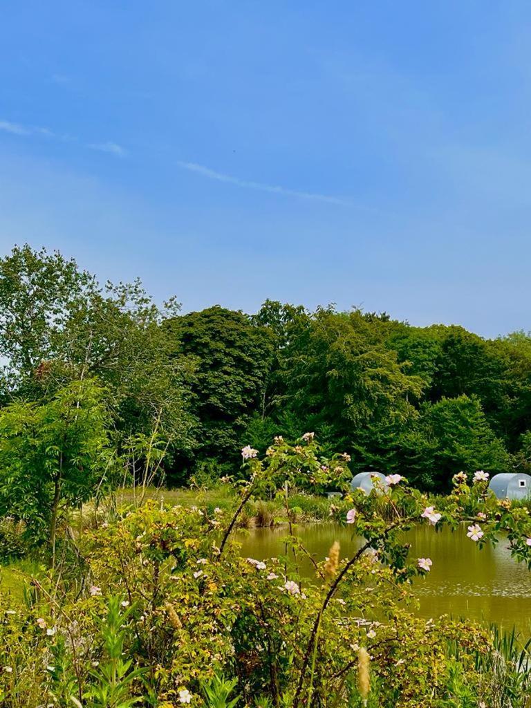 Villa Mill Stream Retreat Legbourne Esterno foto