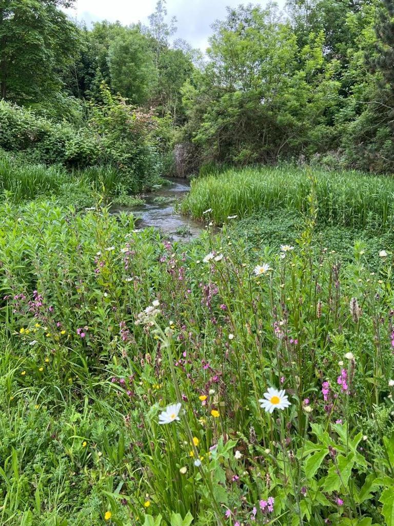 Villa Mill Stream Retreat Legbourne Esterno foto
